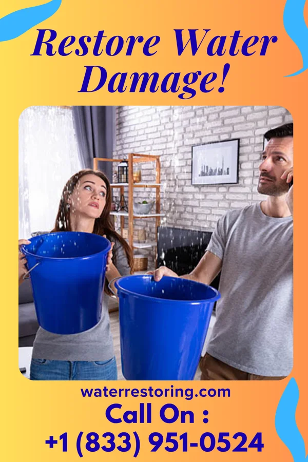 water restoration Crown Sewage Cleanup Pros Swissvale