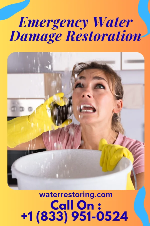 Emergency Water Damage Restoration in Swissvale, PA