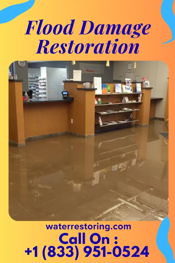 Flood Damage Restoration in Swissvale, PA