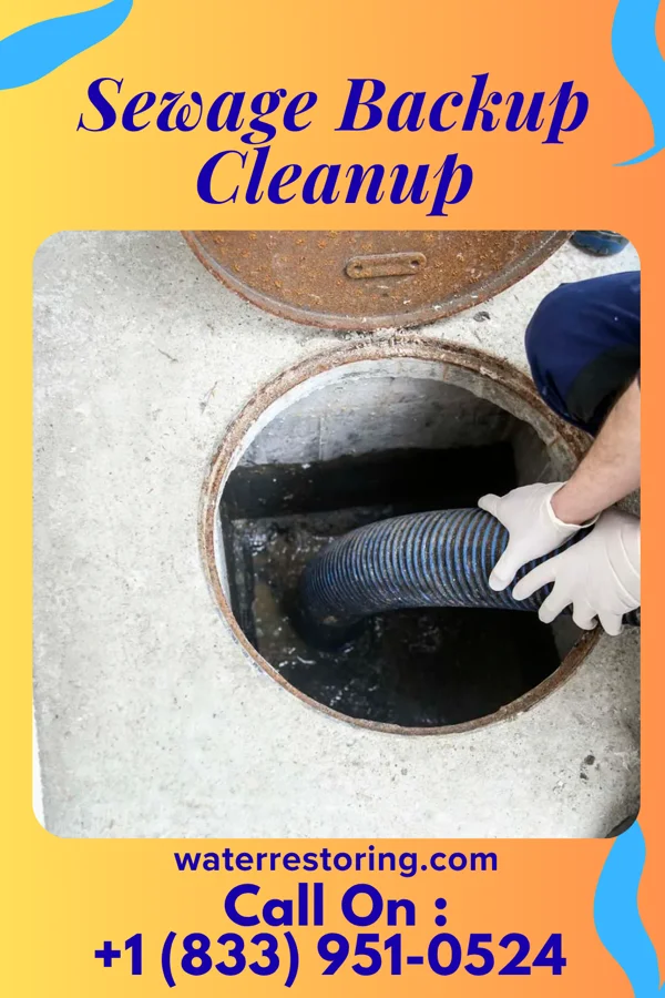 Sewage Backup Cleanup in Swissvale, PA